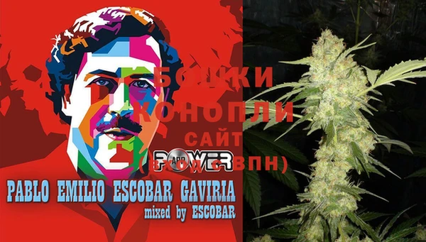 шишки Верхний Тагил
