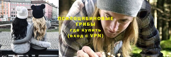 ALPHA PVP Верея