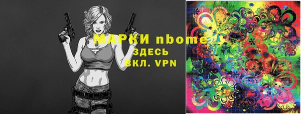 шишки Верхний Тагил